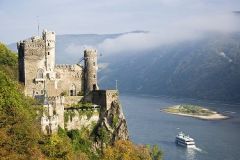 rhin.jpg